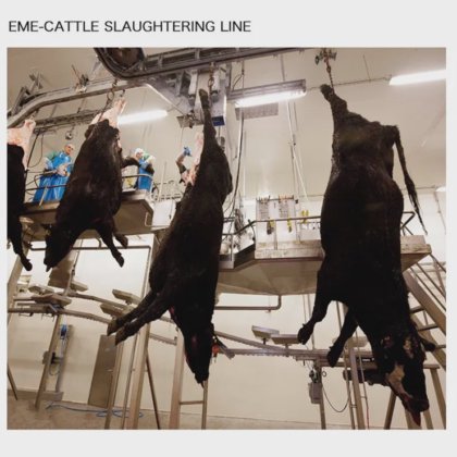 清真食品牛屠宰设备 用于牛屠宰场的气动腌制机