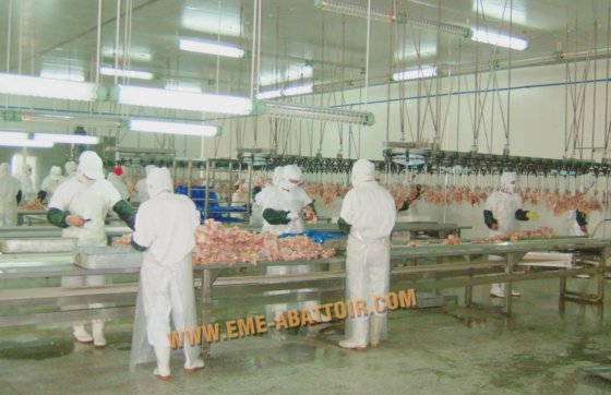 足切り機 鶏爪切断機器 家禽屠殺設備