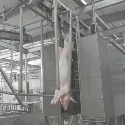 猪肉屠宰自动线 猪体清洗机 屠宰场设备