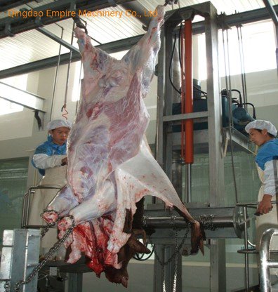 用于肉类加工生产线的新型牛皮液压牵引屠宰机