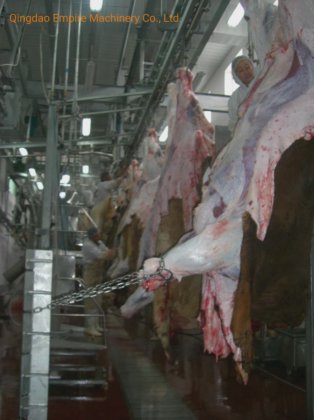 用于肉类加工生产线的新型牛皮液压牵引屠宰机