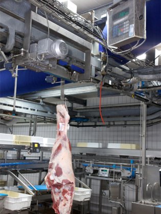 杀牛机 屠宰场肉类加工称重系统 屠场设备 肉类加工机 屠宰设备