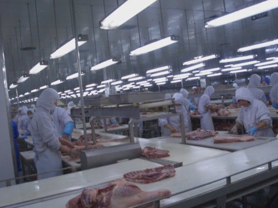 牲畜屠宰场的胴体分割机 肉类加工设备