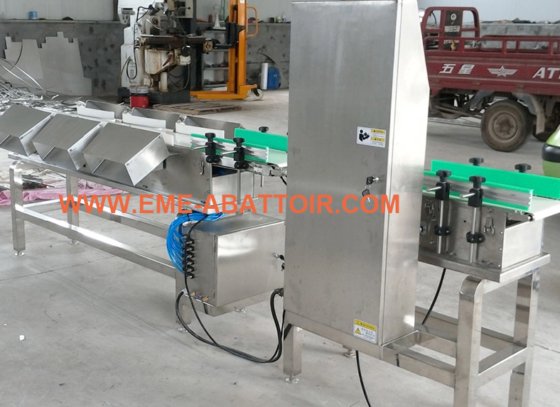 用于鸡鸭鹅的家禽胴体自动分级秤重量分拣机屠宰场设备