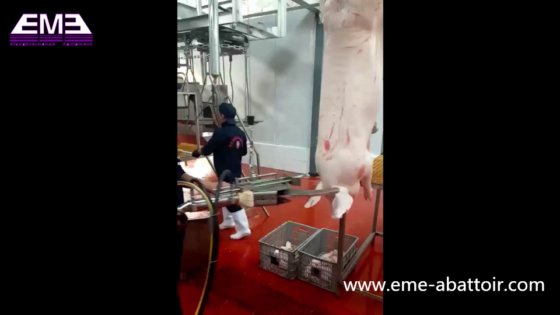 豚のひづめ油圧剪断装置 食肉処理機械用の屠殺場設備