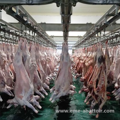 清真绵羊肉屠宰设备 羊肉山羊屠宰设备