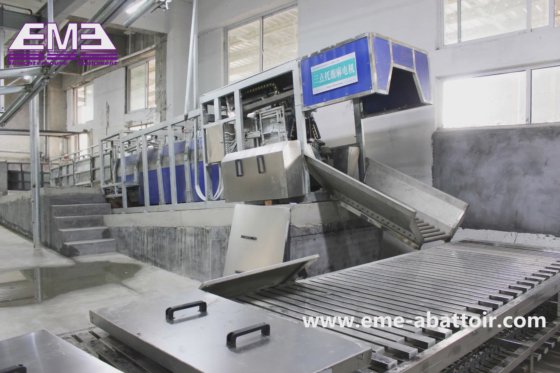 Just 4s 活猪三点脱毛机箱 羊屠宰场设备