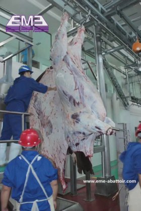 绵羊屠宰机械蹄液压剪切机 高质量原材料和生产技术