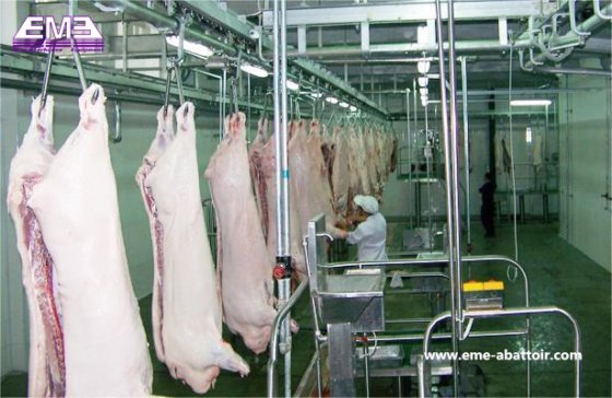 生猪屠宰加工线设计 屠宰场机械 屠宰场设备