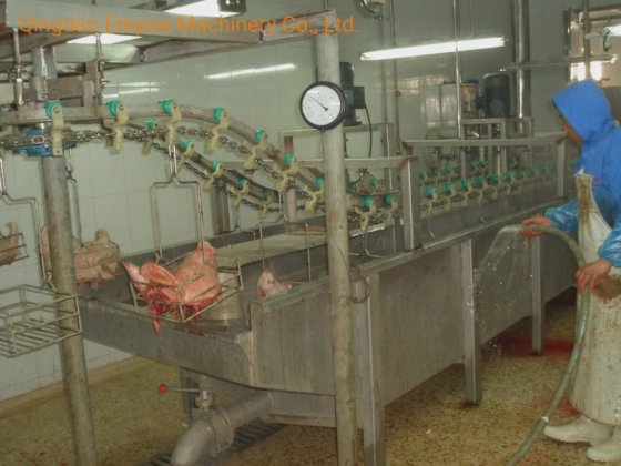 用于屠宰场加工线的节省劳动力成本的猪头脱毛屠宰机