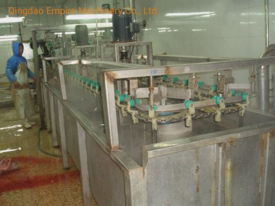 用于屠宰场加工线的节省劳动力成本的猪头脱毛屠宰机