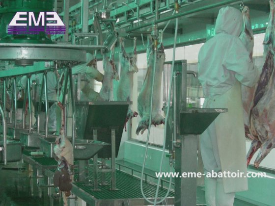 ターンキープロジェクト ハングタイプ ホワイト＆レッド 内臓 同期検疫搬送機