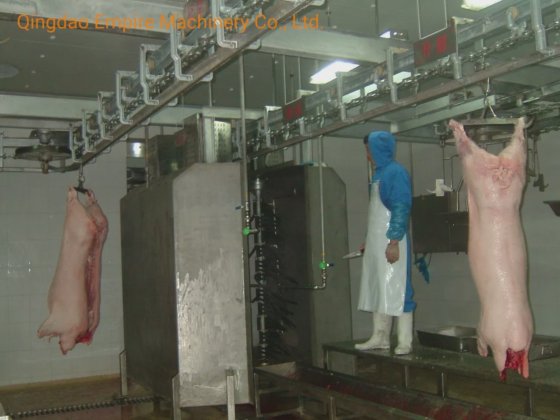 用于生猪屠宰的生猪胴体抛光机