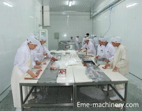 農業機械・設備 真空包装機 (DZ-6) 牛肉 羊肉