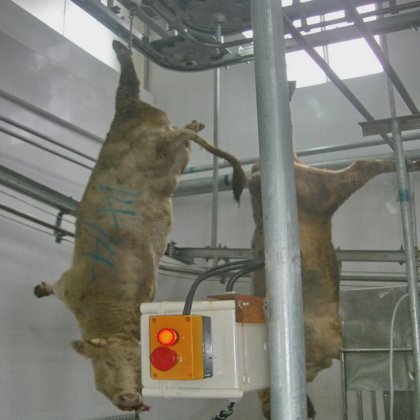 ハラール牛肉屠殺工場用の肉屋機械、牛の蹄切断器、家畜屠殺場用の設備