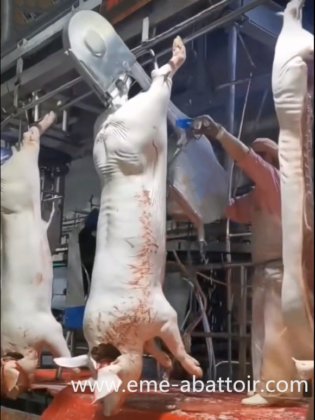 用于屠宰场加工的生猪屠宰机 猪胴体分割锯