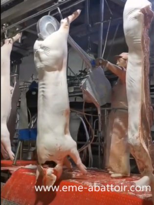 用于屠宰场加工的生猪屠宰机 猪胴体分割锯