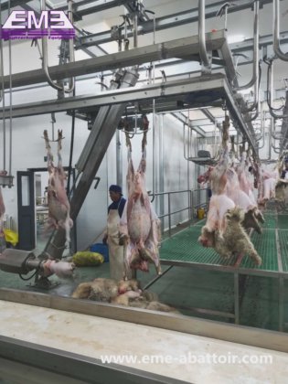 自动绵羊屠宰线 羊皮皮带输送机 屠宰场屠宰设备