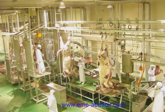 家禽屠殺機器副産物処理テーブル専門牛屠殺ライン