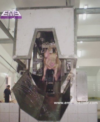 中国製屠殺機器 生きた豚用三点スタンニングマシン 豚屠殺場設備