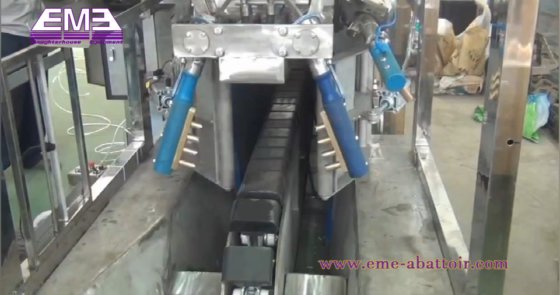 中国製屠殺機器 生きた豚用三点スタンニングマシン 豚屠殺場設備