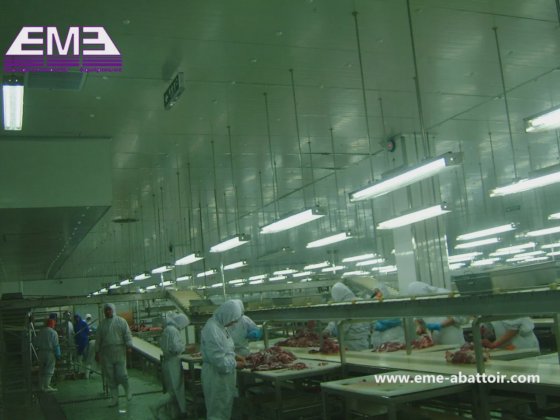 自動化設計 三層ベルトコンベヤー 食肉処理 殺処分場機械