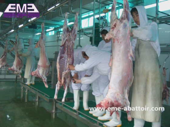 羊の死体処理マニュアル コンベヤーレール 山羊処理 食肉処理場の設備