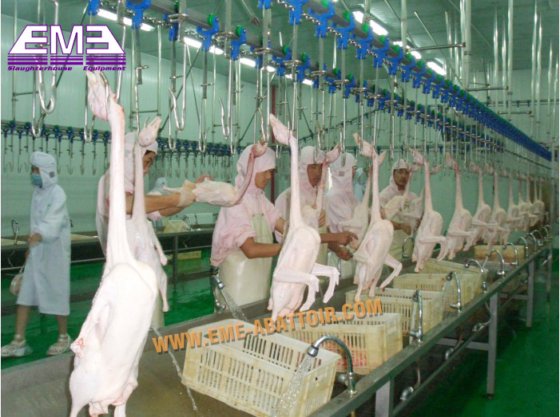 新设计移动式屠宰场 家禽鸡肉加工设备生产线 鸭屠宰场设备