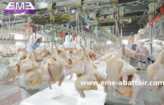 新设计移动式屠宰场 家禽鸡肉加工设备生产线 鸭屠宰场设备