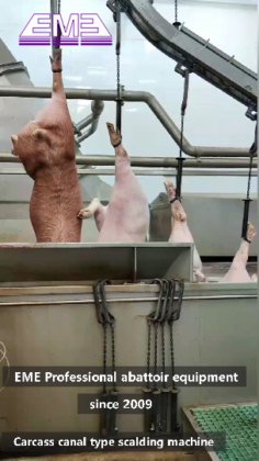 500 豚 一日 解体 焼却炉