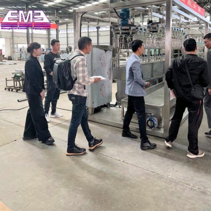 自动鸡鸭鹅拔毛机 家禽拔毛机