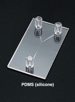 BMT PDMS Chips