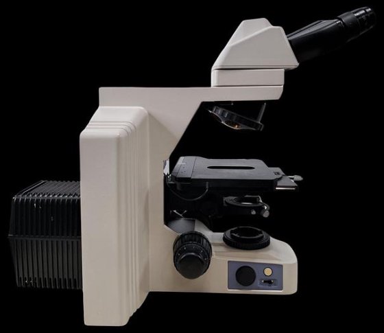 Nikon Eclipse E600 Fluorescence Microscope