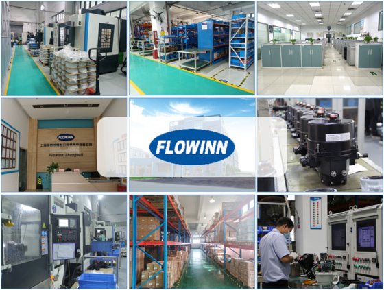 EOH10系列基本型四分之一转弯电动推杆