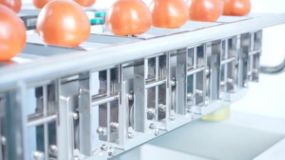 半自动组合式称重器 蓝莓草莓桃子苹果的手动喂食秤