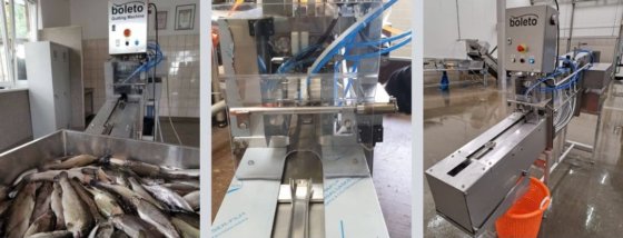 Boleto, 鱼类屠宰设备 - 新