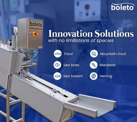 Boleto, 鱼类屠宰设备 - 新