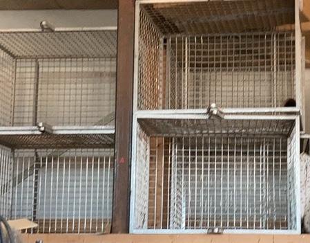 ステンレス・バスケット