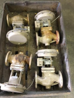 サムソン多様な蒸気バルブ