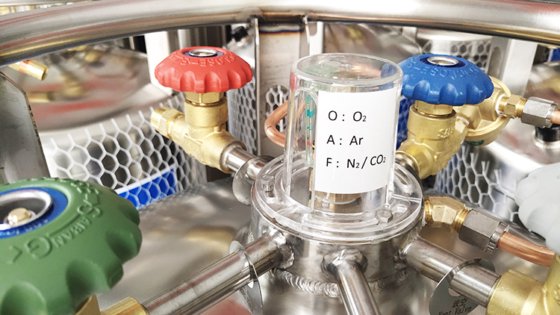 Bewellcn Liquid Argon Dewar