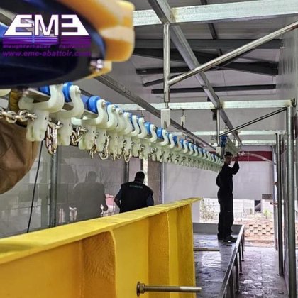 阿尔及利亚每小时屠宰 2000 只家禽的优质家禽设备 用于肉类加工厂的鸡屠宰设备