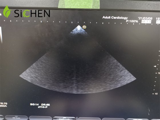 日立 EUP-S50A フェーズドアレイ超音波トランスデューサ/プローブ