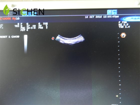 バイオサウンドEsaote CA430E湾曲アレイ超音波トランスデューサ