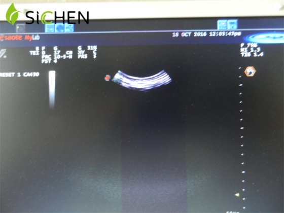 生物音 CA430E によって曲げられる配列の診断装置の超音波トランスデューサー/調査