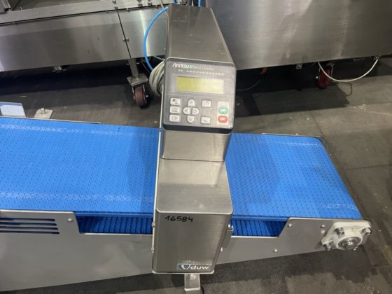 安立斯特高架金属探测器