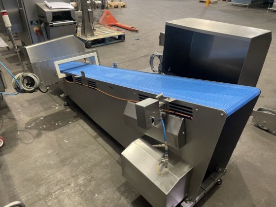 安立斯特高架金属探测器