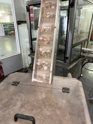 粉末とカプセルを生産する工場の内容物。