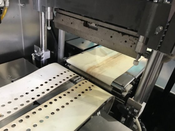 ウルマ・バルティックC