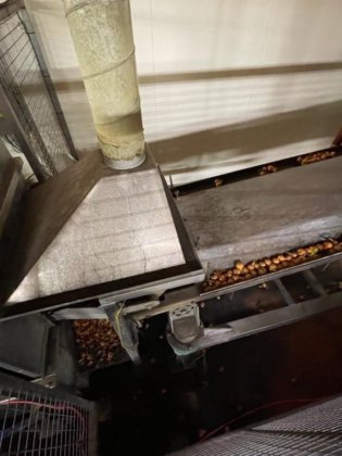 烧煮剥皮线用于腌制洋葱