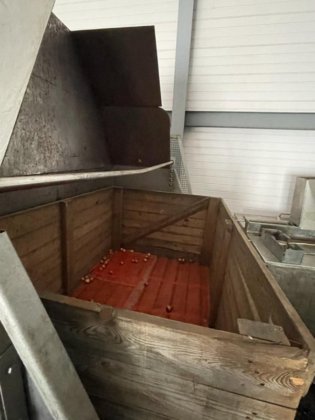 烧煮剥皮线用于腌制洋葱